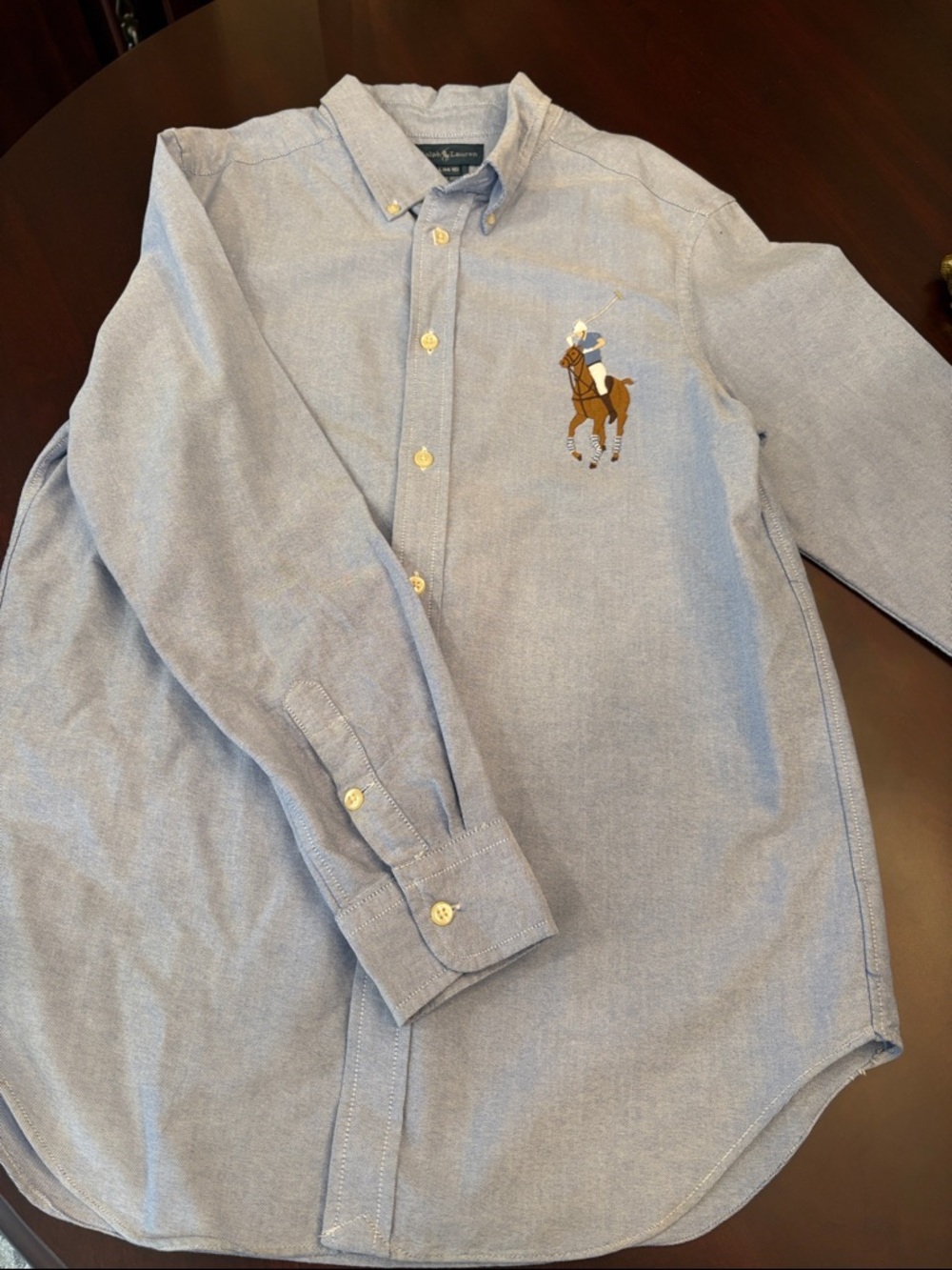 Polo by Ralph Lauren Light Blue Button-Down Shirt with Polo Player Embroidery